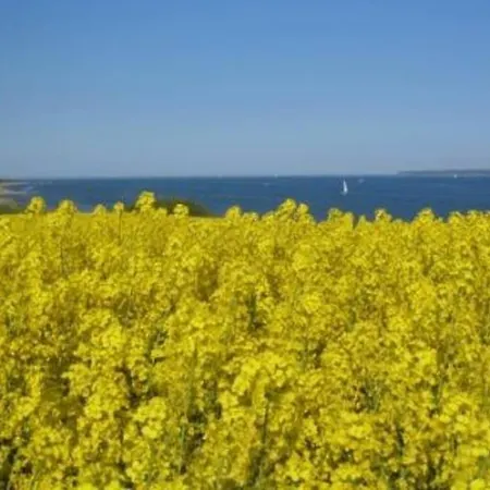 Gut Hohenstein - Stellmacherhaus Feriehus