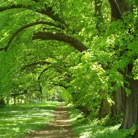 Gut Hohenstein - Stellmacherhaus *